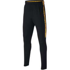 Nike Dry Squad Junior 859297-013 football pants (XS (122-128cm))