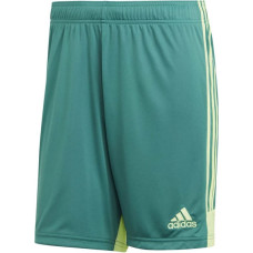 Adidas M Tastigo 19 Shorts DP3251 shorts (S)