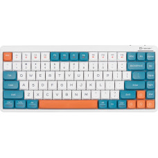 Tracer 47309 FINA 84 White/Blue (Outemu Red Switch)