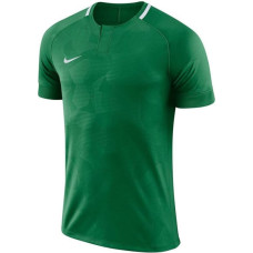 Nike Y NK Dry Chalang II JSY SS Jr 894053 341 T-shirt (XL (158-170cm))