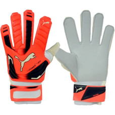 Puma Evo Power Grip 2 Aqua 41145 30 Goalkeeper gloves (9,5)