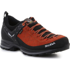 Salewa MS MTN Trainer 2 GTX M 61356-7519 shoes (EU 44,5)