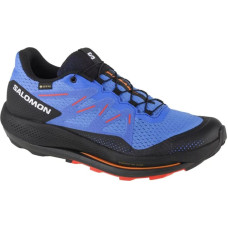 Salomon Pulsar Trail GTX M 416080 running shoes (44 2/3)