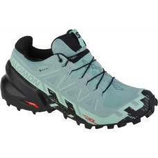 Salomon Speedcross 6 GTX W 417435 running shoes (36 2/3)