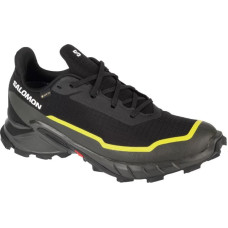 Salomon Alphacross 5 GTX M 474604 shoes (43 1/3)