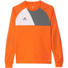 Adidas Assita 17 Jr AZ5402 sweatshirt (116 cm)