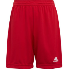 Adidas Entrada 22 Jr H57501 shorts (152cm)