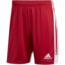 Adidas Tastigo 19 Shorts M DP3681 shorts (S)