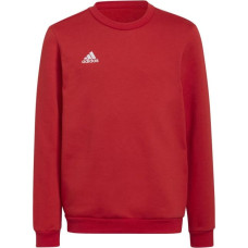 Adidas Sweatshirt adidas Entrada 22 Sweat Jr H57473 (152)