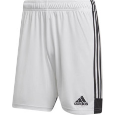 Adidas Tastigo 19 Shorts M DP3247 shorts (S)