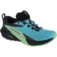 Salomon Sense Ride 5 GTX W 472160 running shoes (37 1/3)