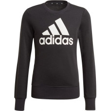 Adidas Sweatshirt adidas Essentials Big Logo Jr GP0040 (140cm)