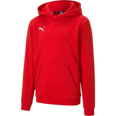 Puma teamGOAL 23 Casuals Hoody Jr 656711 01 (116)