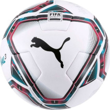 Puma teamFINAL 21.3 Fifa Quality ball 083306 01 (4)