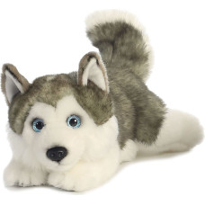 Aurora Plush AURORA Miyoni Mīkstā rotaļlieta Husky (grey), 27 cm