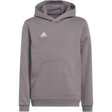 Adidas Sweatshirt adidas Entrada 22 Hoody Jr H57515 (152cm)