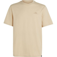 Oneill O'Neill Small Logo T-Shirt M 92800613999 (M)