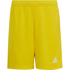 Adidas Shorts adidas Entrada 22 Jr IC7411 (128cm)