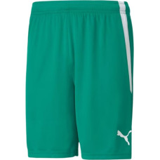 Puma teamLiga M 704924 05 shorts (M)