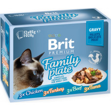 Brit Care Cat Delicate Pouch Fillets in Gravy Family Plate 1020 g (12x85 g)