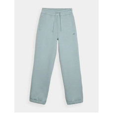 4F Trousers 4F W 4FWAW24TTROF0819-47S (M)