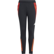 Adidas Tiro 24 Competition Training Jr IS1638 pants (176cm)