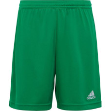 Adidas Shorts adidas Entrada 22 Jr IC7410 (152cm)