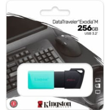 Kingston DataTraveller Exodia M 256GB