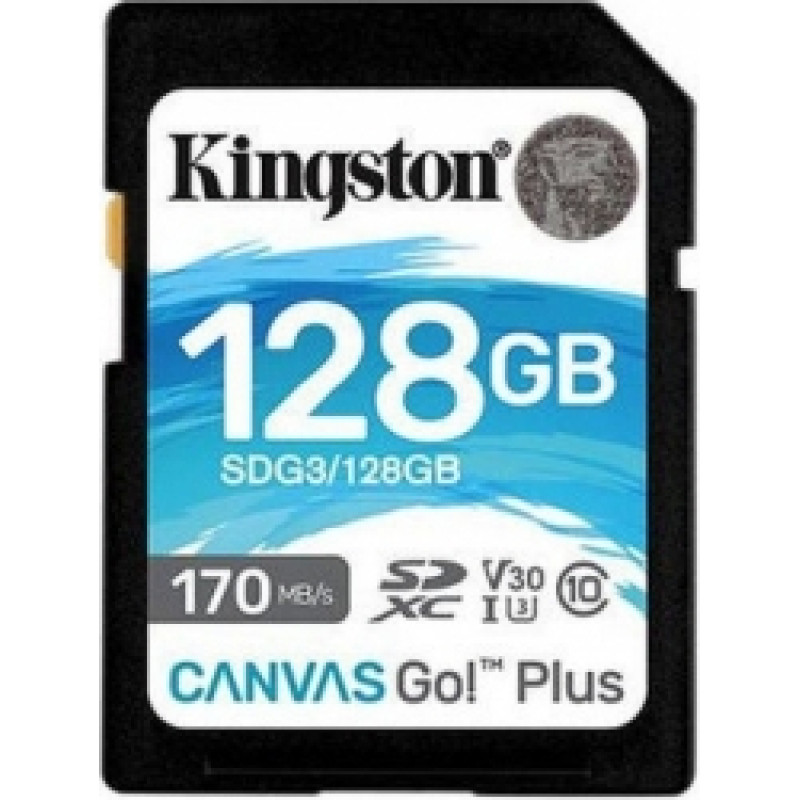 Kingston Canvas GO Plus 128GB