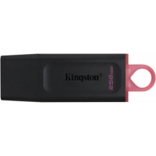 Kingston DataTraveler Exodia 256GB